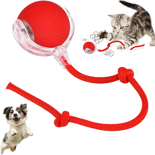 🎾 GlowRoll™ – The Ultimate USB Pet Play Ball